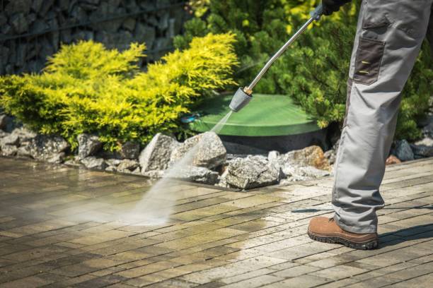 Best Roof Washing  in Inverness Highlands North, FL